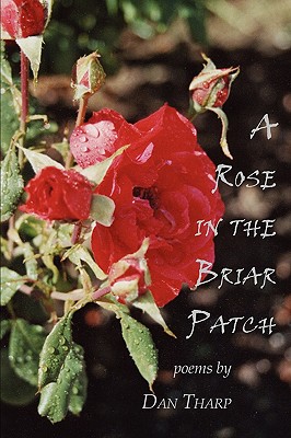 【预售】a rose in the briar patch
