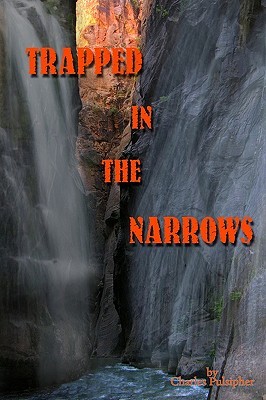 【预售】Trapped in the Narrows