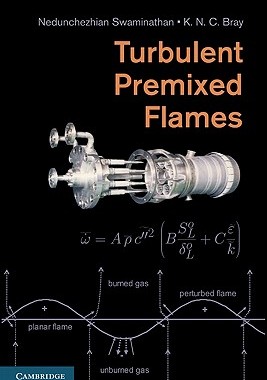 【预售】Turbulent Premixed Flames