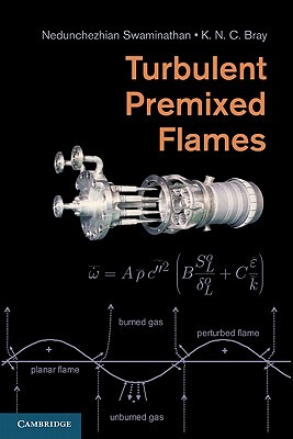 【预售】Turbulent Premixed Flames