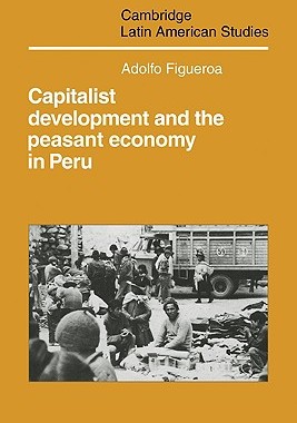 【预售】Capitalist Development and the Peasant Economy in