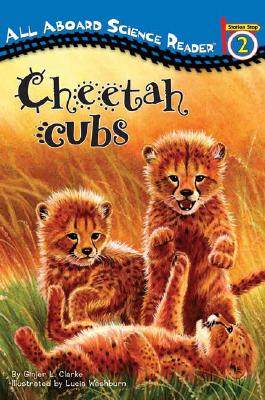 【预售】Cheetah Cubs