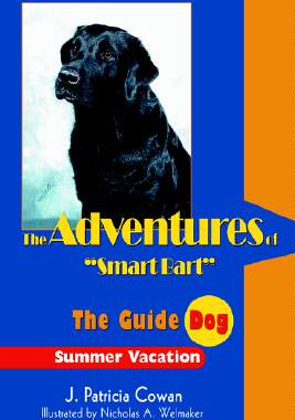 【预售】The Adventures of 