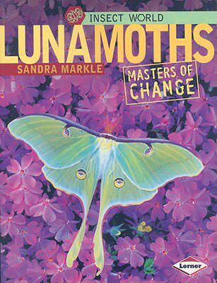 【预售】Luna Moths: Masters of Change