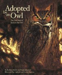 【预售】Adopted by an Owl: The True Story of Jackson, the