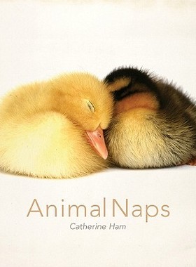 【预售】Animal Naps