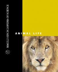 【预订】Magill's Encyclopedia of Science Animal Life