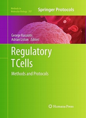 【预售】Multiprocessor Systems on Chip: Design Space