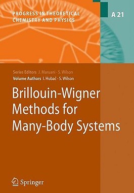 【预售】Brillouin-Wigner Methods for Many-Body Systems