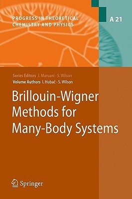 【预售】Brillouin-Wigner Methods for Many-Body Systems