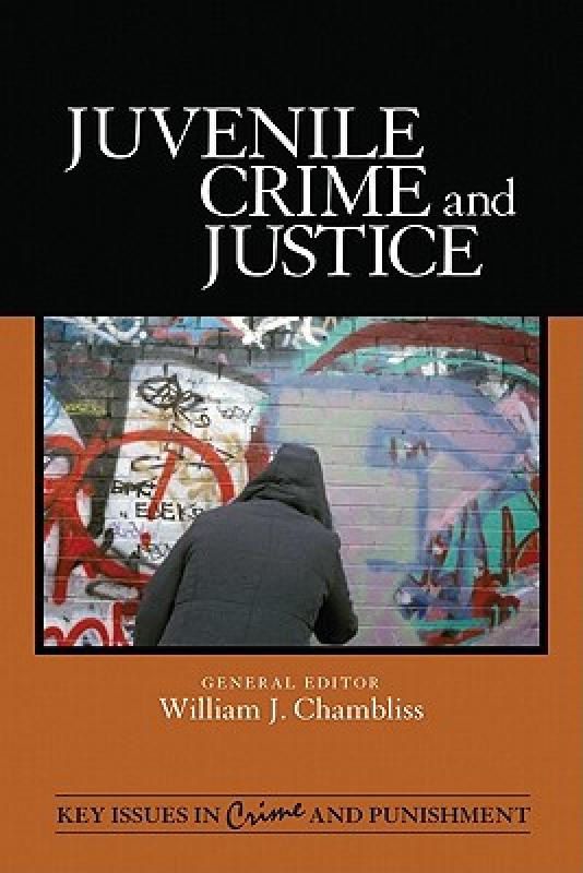 【预售】Juvenile Crime and Justice 书籍/杂志/报纸 人文社科类原版书 原图主图