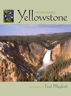 【预售】Yellowstone Wild and Beautiful