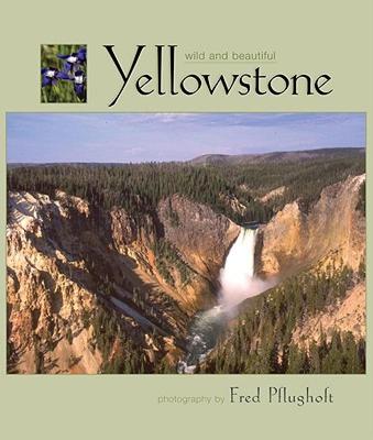 【预售】Yellowstone Wild and Beautiful