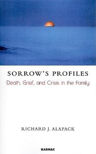 Sorrow 预售 Death Grief Profiles Crisis the and