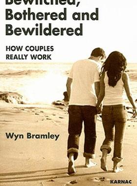 【预售】Bewitched, Bothered and Bewildered: How Couples