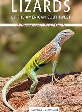 【预售】Lizards of the American Southwest: A Photographic