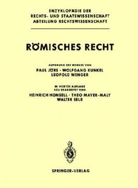 【预售】R Misches Recht