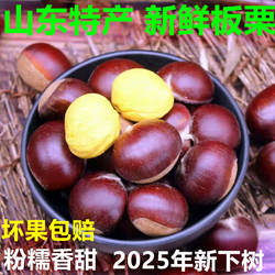板栗生新鲜2025年新货正宗山东老树油栗蒙山板栗粉糯栗子10斤大果