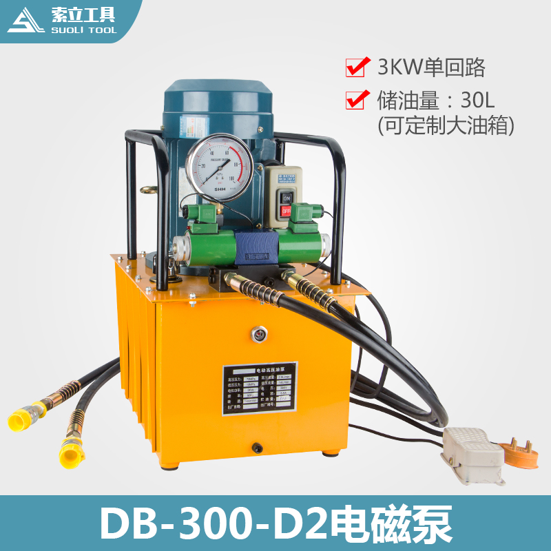 DB300-D2 3KW双回路油压机双向大功率液压电动泵 超高压脚踏泵 五金/工具 电泵 原图主图