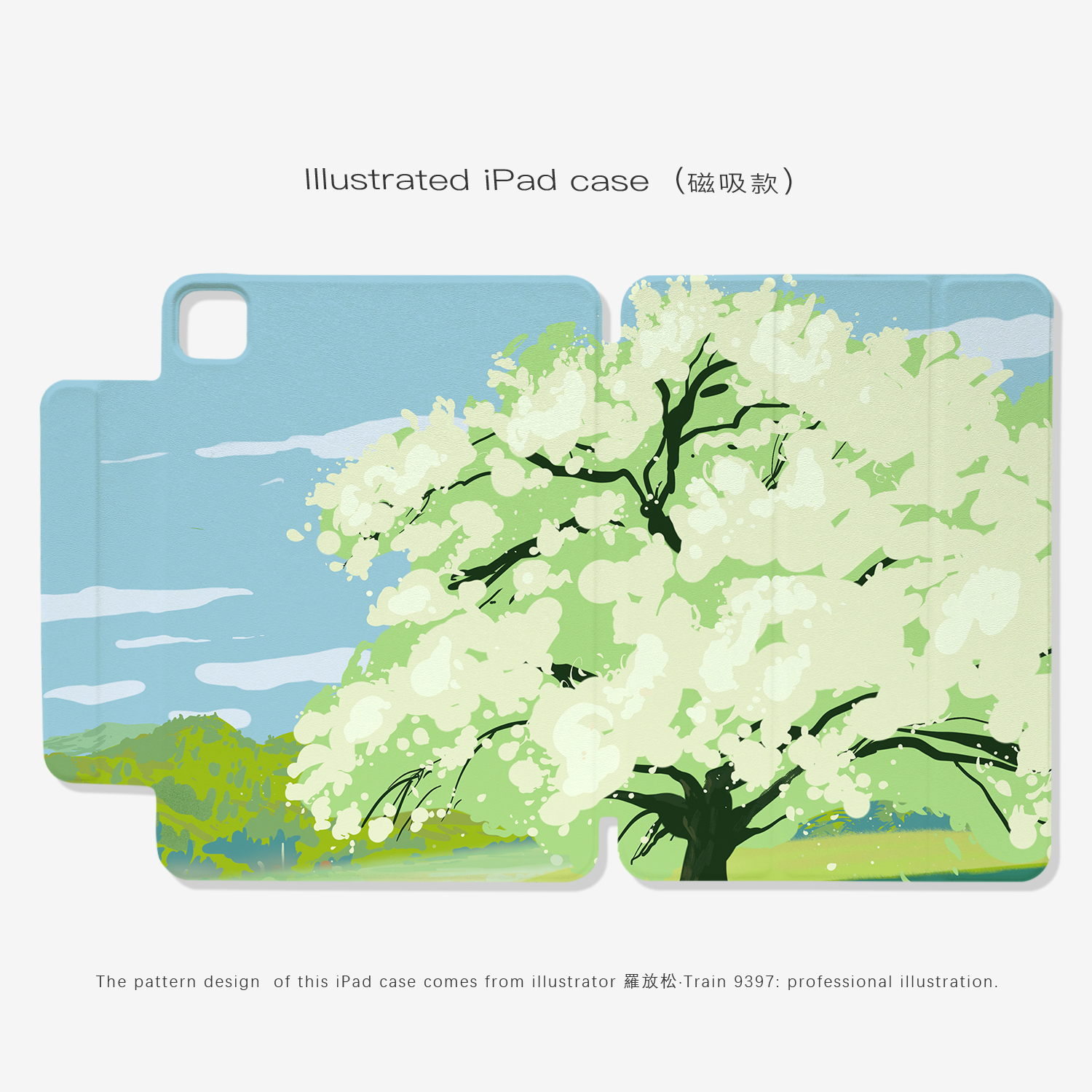 9397号列车羅放松ipad磁吸平板壳适用于苹果ipadpro2024 10.9英寸12.9英寸13英寸可拆分