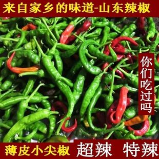 山东枣庄本地土辣椒勾椒薄皮尖椒特辣新鲜采摘辣子鸡专用辣椒