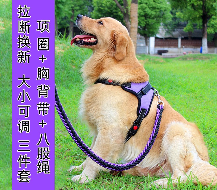 Dog leash medium large dogs walking harness collar chain set