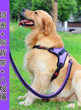 Dog leash medium large dogs walking harness collar chain set