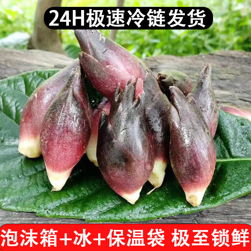 云南现挖阳荷姜5斤装当季新鲜