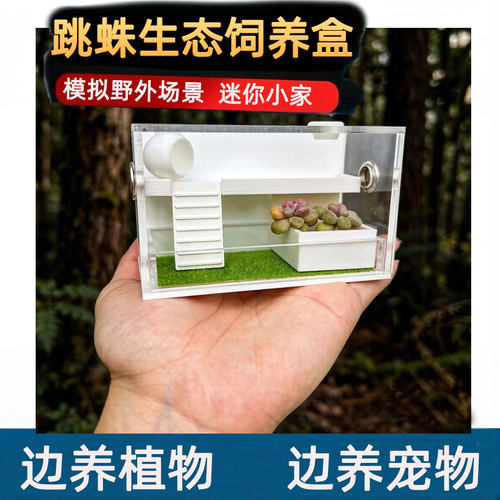居家生态跳蛛蜗牛螳螂饲养盒