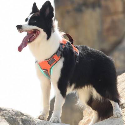 大狗婴狗牵引绳中型犬金背18389牧多心功能布胸抱袋境羊犬毛拉拉