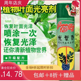 亮光光叶剂植物营养液光亮剂除尘护花使者花卉叶面洁净增绿直喷剂