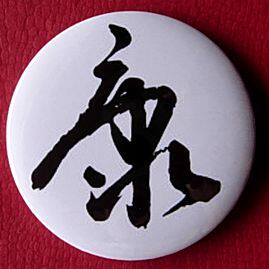 康字纪念品胸针收藏品礼物装饰品挂件胸牌礼品徽章胸章汉字纪念章