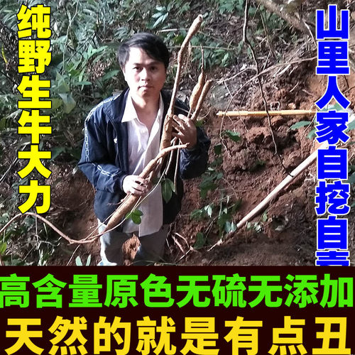 野生牛大力现挖新鲜干货大力薯