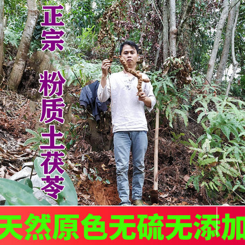 莫氏鸡煲汤料肇庆野生土茯苓现挖新鲜干货祛湿健脾煲汤粉质土伏苓
