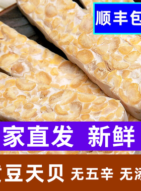 天贝素食毛毛黄豆腐纳瓣印丹尼Tempe/tempeh发酵菌制品大蛋白素肉