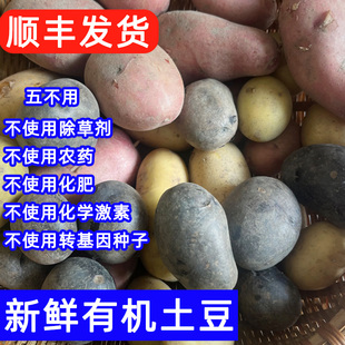 有机蔬菜套餐新鲜搭配时令良道包轻食西红柿土豆洋芋沙拉辅食顺丰