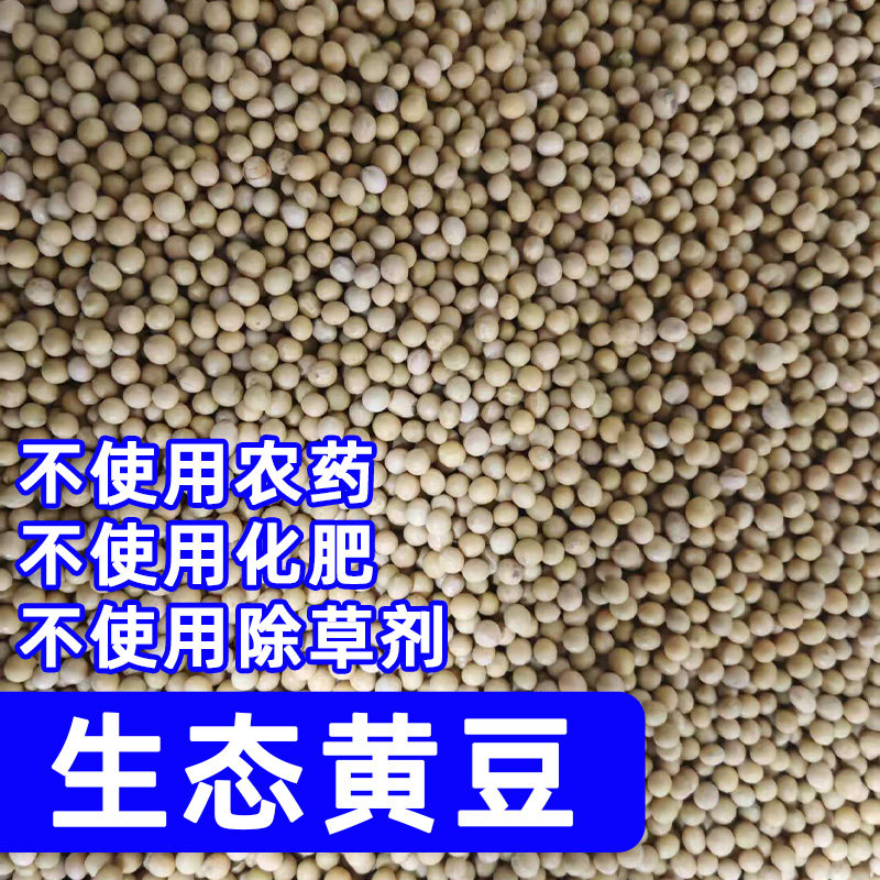 纯素食生态黄豆农家自产非转基因无添加除草剂农药5斤装豆子泉玲