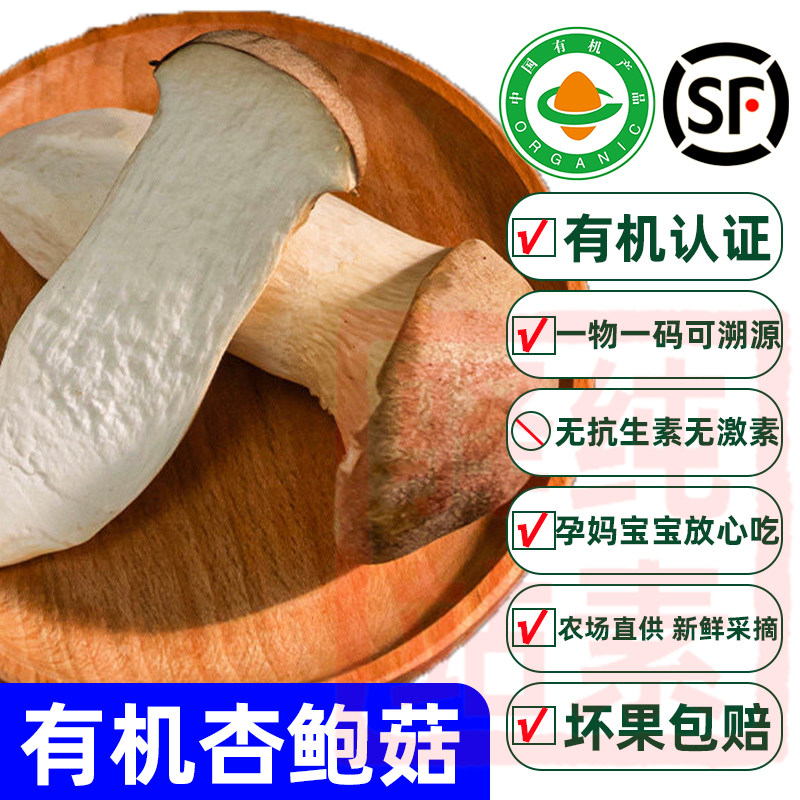 纯素食有机杏鲍菇新鲜菌菇蔬菜鸡腿菇蘑菇鲜嫩煲汤佛家寺院沈佳农