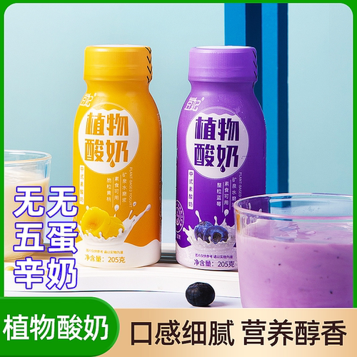 纯素益生元乳酸菌植物奶大豆酸奶