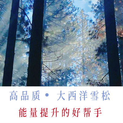 10ml大西洋雪松精油水蒸馏印度滋养心轮入肾经收敛净化原料分装