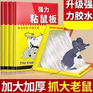 老鼠贴超强力粘鼠板抓捉胶沾捕鼠神器灭大老鼠家用一窝端