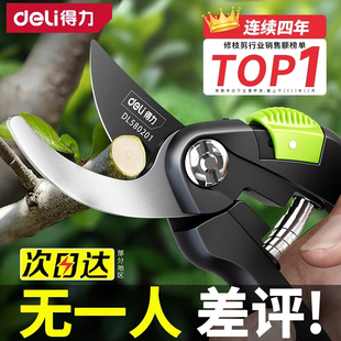 得力修枝剪树枝园艺剪刀修枝剪园林花卉果树花艺嫁接剪