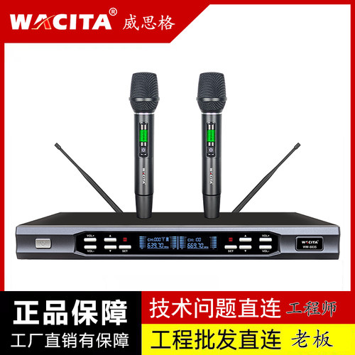 威思格一拖二真分集U段麦克风