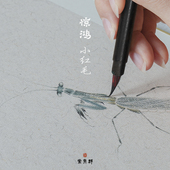 群青堂 小红毛勾线笔国画专业工笔花鸟白描线描草虫小楷抄经 惊鸿