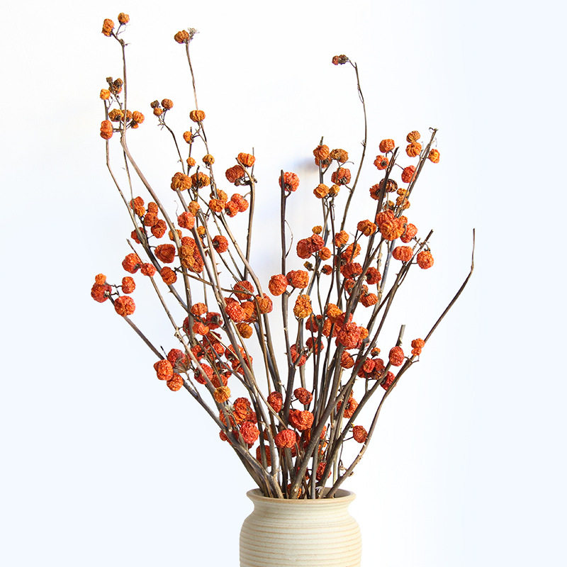 狂想者新品《小南瓜》真花果实树