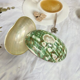 海螺调味碟贝壳小碗酒店餐厅餐具拍摄道具摆台创意鱼子酱碟子碗