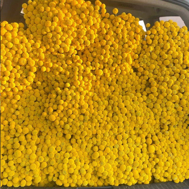 黄金球干花花束装饰品摆件插花天