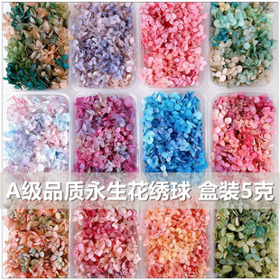 干花永生花绣球渐变色diy材料包贴脸婚鞋玻璃罩团建活动花艺婚庆
