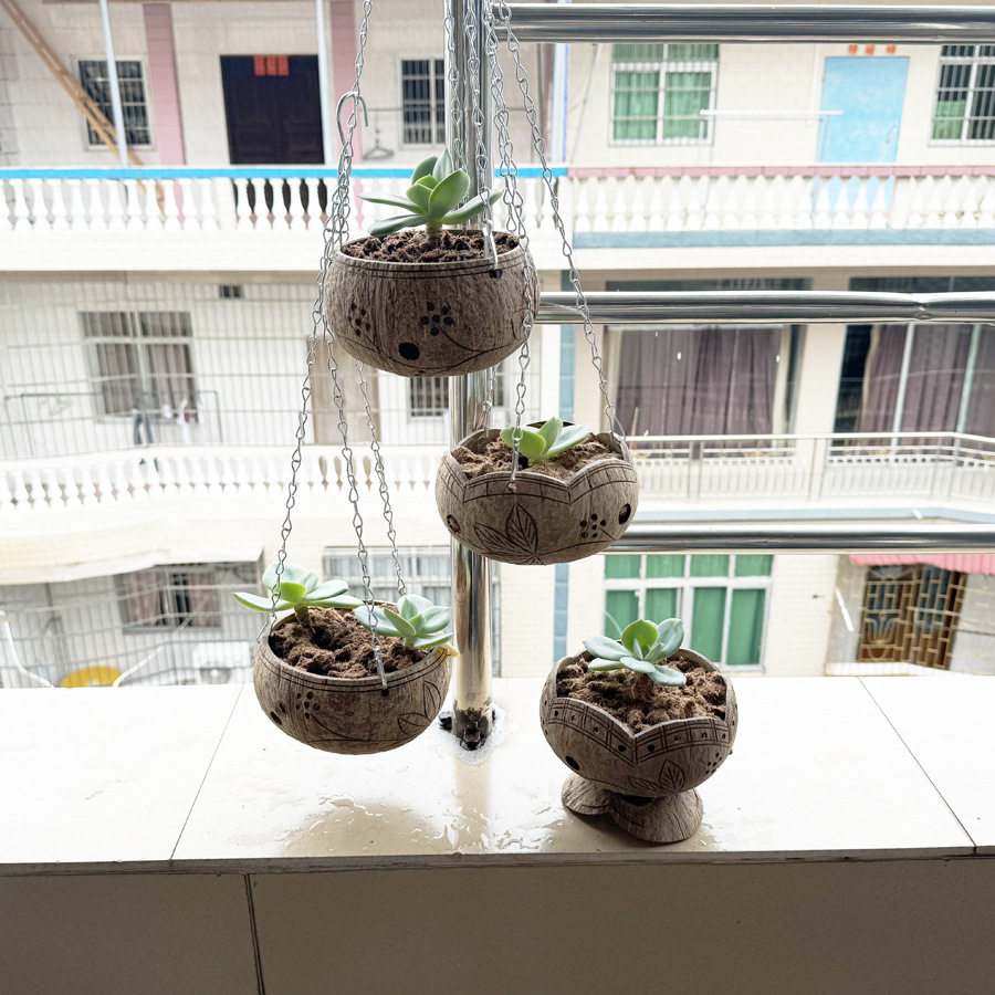 天然创意椰子椰壳多肉植物吊篮个