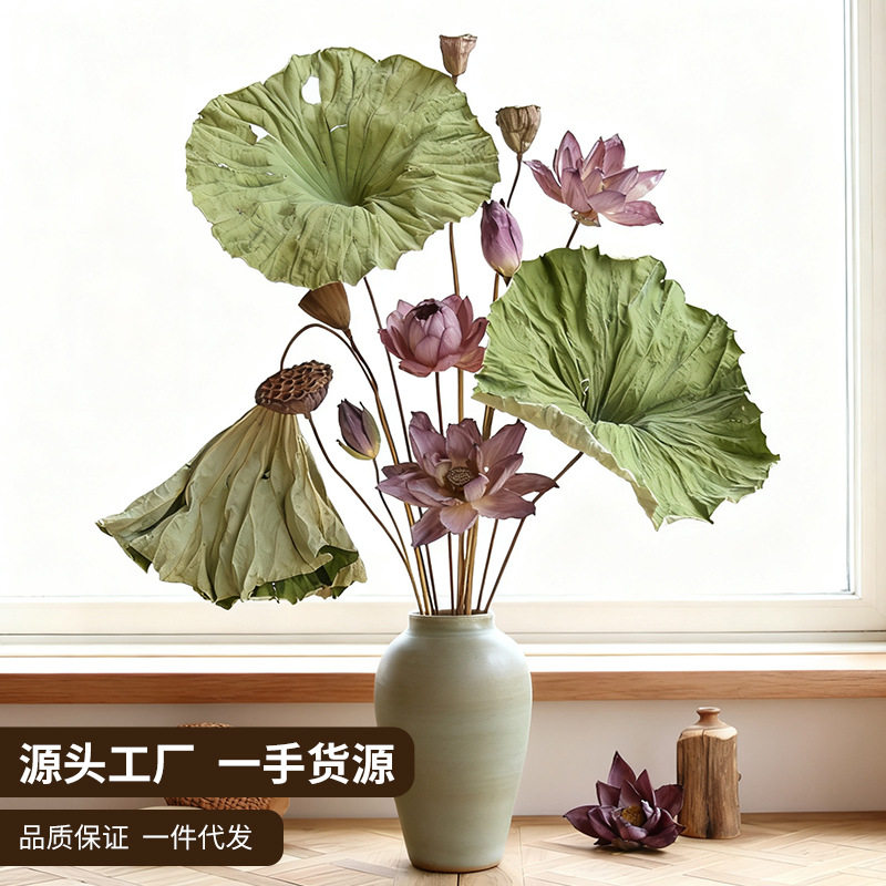 狂想者新品【荷花套装】自然干荷